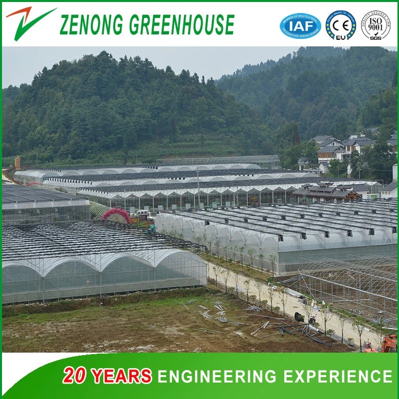 Flower Plastic Film Multi-Span Greenhouse with External Shading Net/Irrigation/Cooling Pad