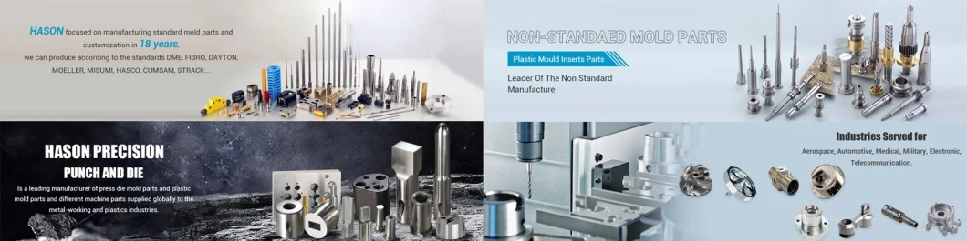 Standard Precision Hardware Mold Parts for Mold Processing, Machinery Equipment, Medical Devices, Auto Industry, Home appliance Manufacturers