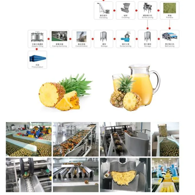 Turnkey Project Solution for Red Dates Seabuckthorn Nut Milk Extraction Processing Machine Line