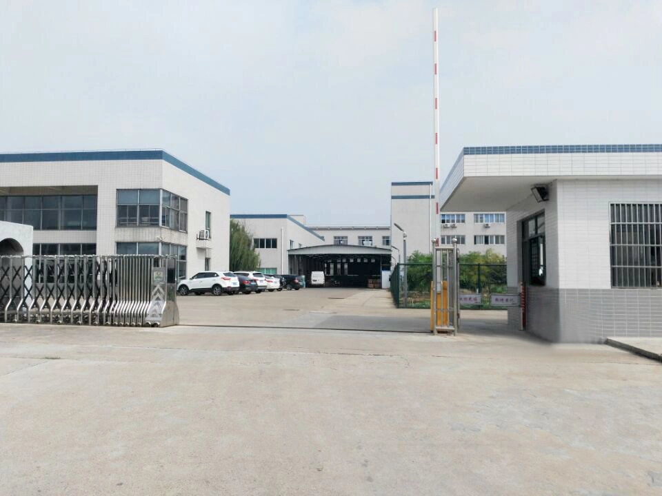 Changzhou Factory Processing Straight Spur Gear with All Kinds