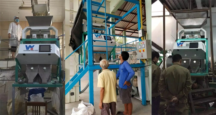 8 Chutes 512 Channels Color Sorting for Black White Cashew Nut Processing Machine