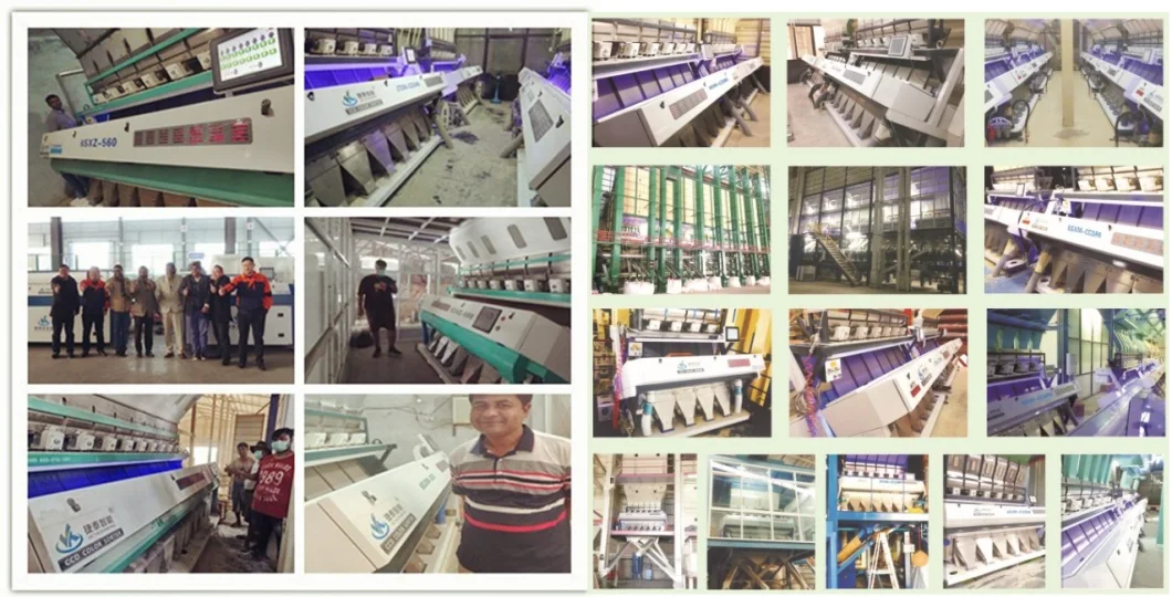 Newest 10 Chutes 640 Channels Beans/Corn/Nuts Color Sorter Processing Machine