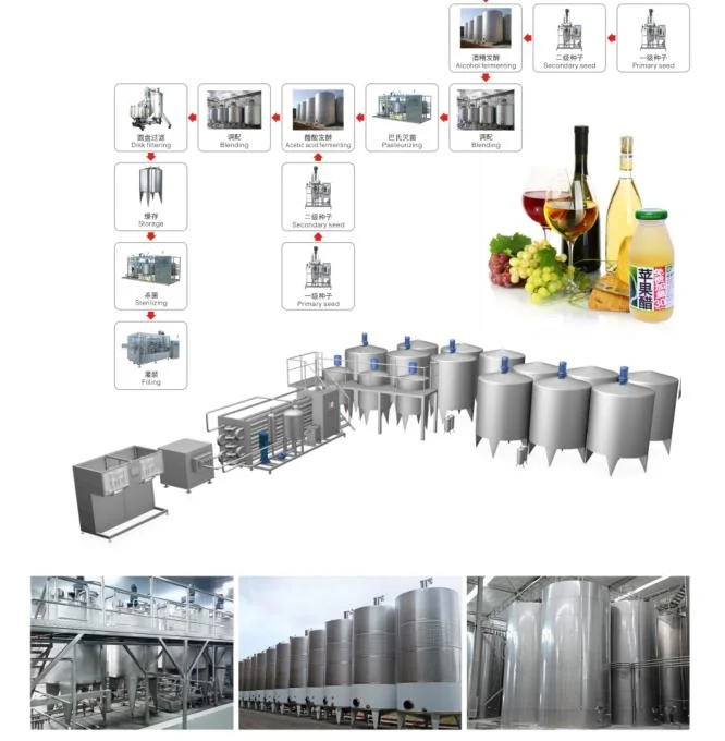 Turnkey Project Solution for Red Dates Seabuckthorn Nut Milk Extraction Processing Machine Line
