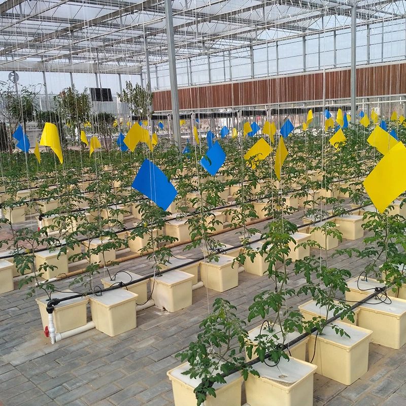 Plastic Pots Flower Net Pot for Hydroponic Growing System