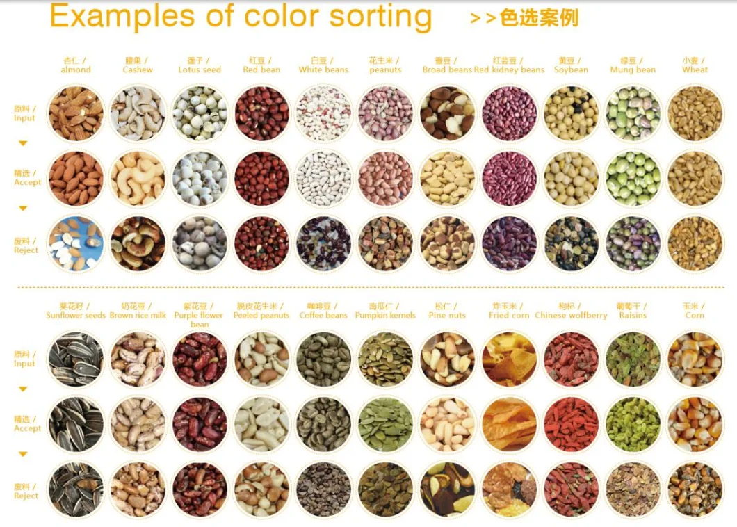 3 Chutes Cashew Nut Processing Machine with Color Sorting Function