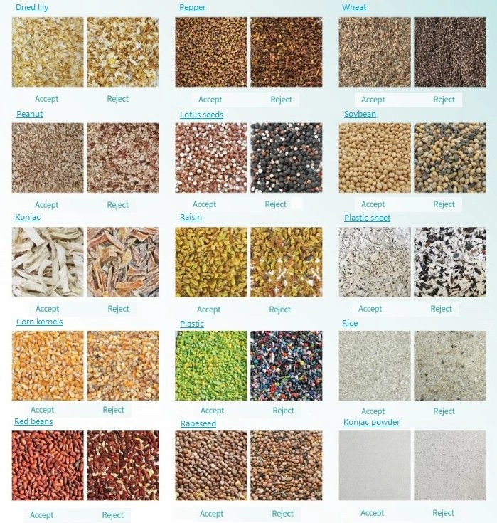 Almond Color Sorter Nuts Processing Machine