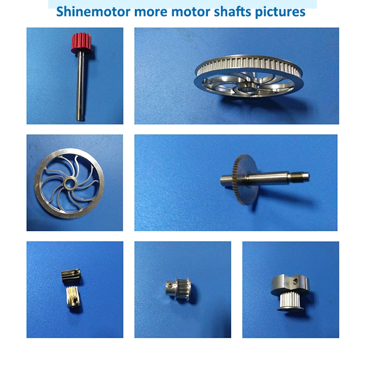 Stainless Steel Electrical Motor Shaft Flat Position Abnormal Shaft Core Motor Accessories