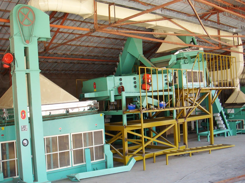 Complete Processing Line Sesame Seed Cleaning and Processing Machine