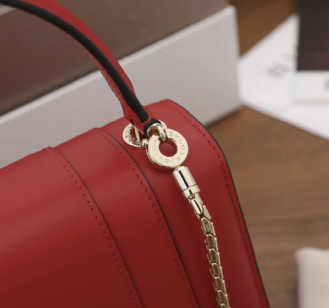 Original 2021 Topest Luxury Designer Purse Inspired Bag for Women Accessories Top