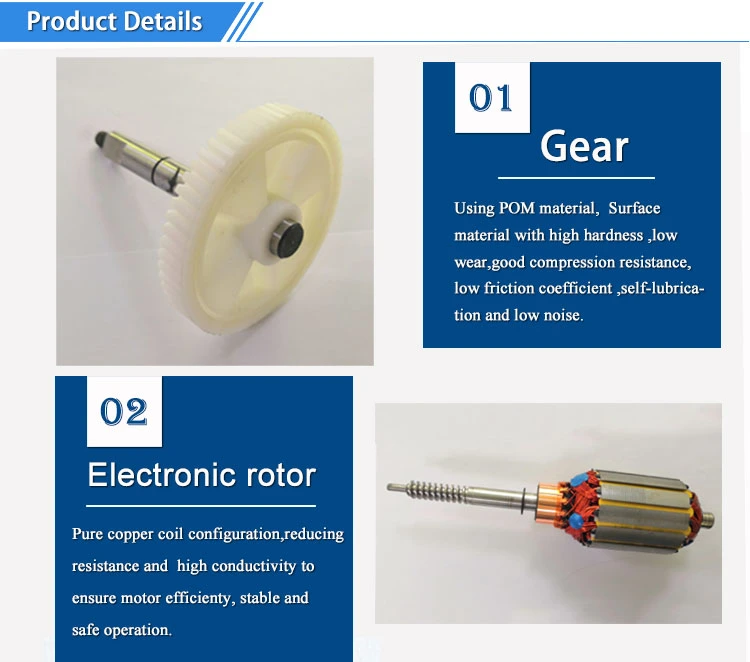 24V 15nm Torque DC Gear Motor for Food Processing Machinery