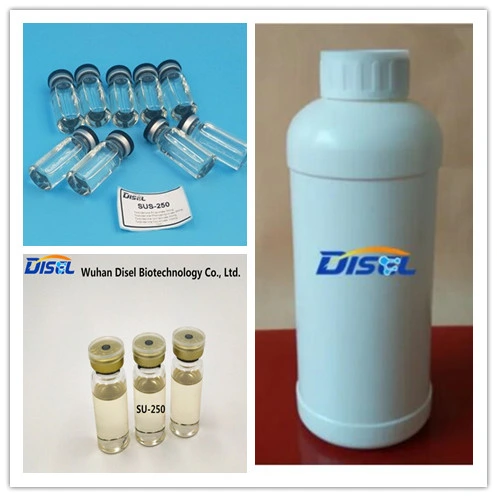 Finished or Semi-Finished Injectable Stero Oil Su250/400 with Factory Price