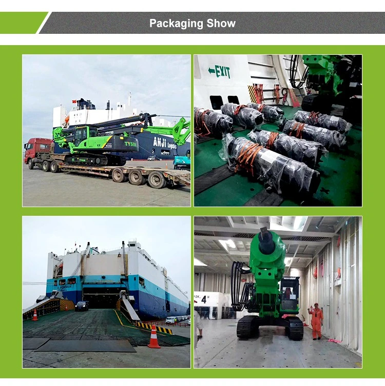 Tysim Rotary Piling Rig, Drill Machine, Rotary Pile Machine, Small Pile Rig, Excavator Chassis Max. Drilling Depth 60m Kr220c Bore Piling Rig Machine
