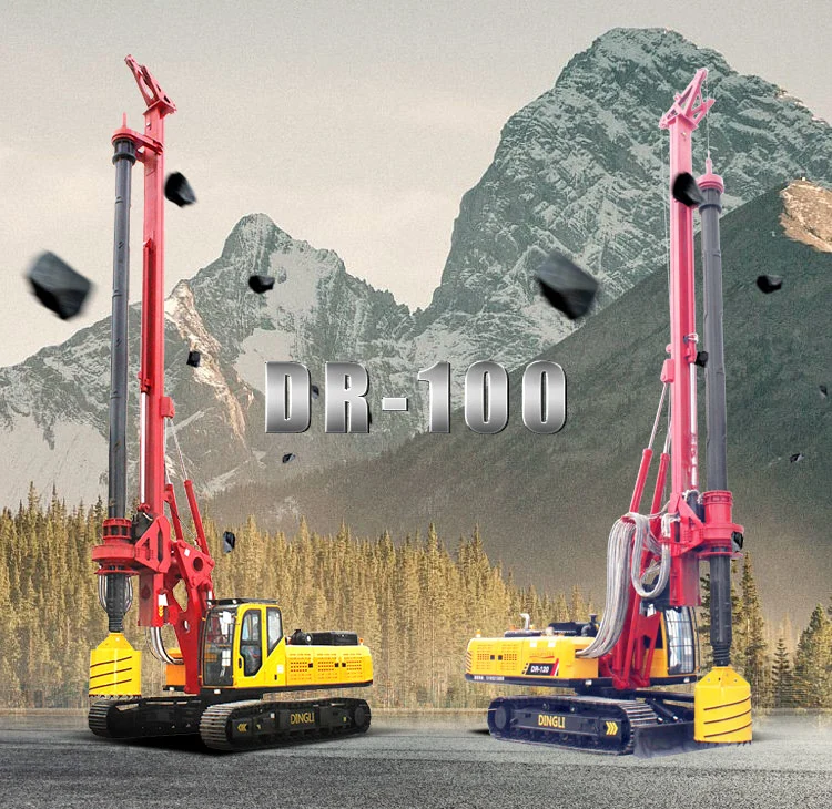 Small Hydraulic Piling/Drilling Rig Machine Dr-100 Engineering Drill Rig Depth 20m