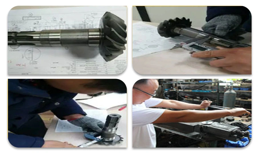 OEM Precision Metal Helical Gear Starter Drive Spur Gear/Spiral Bevel Gear/Crown Pinion Gear