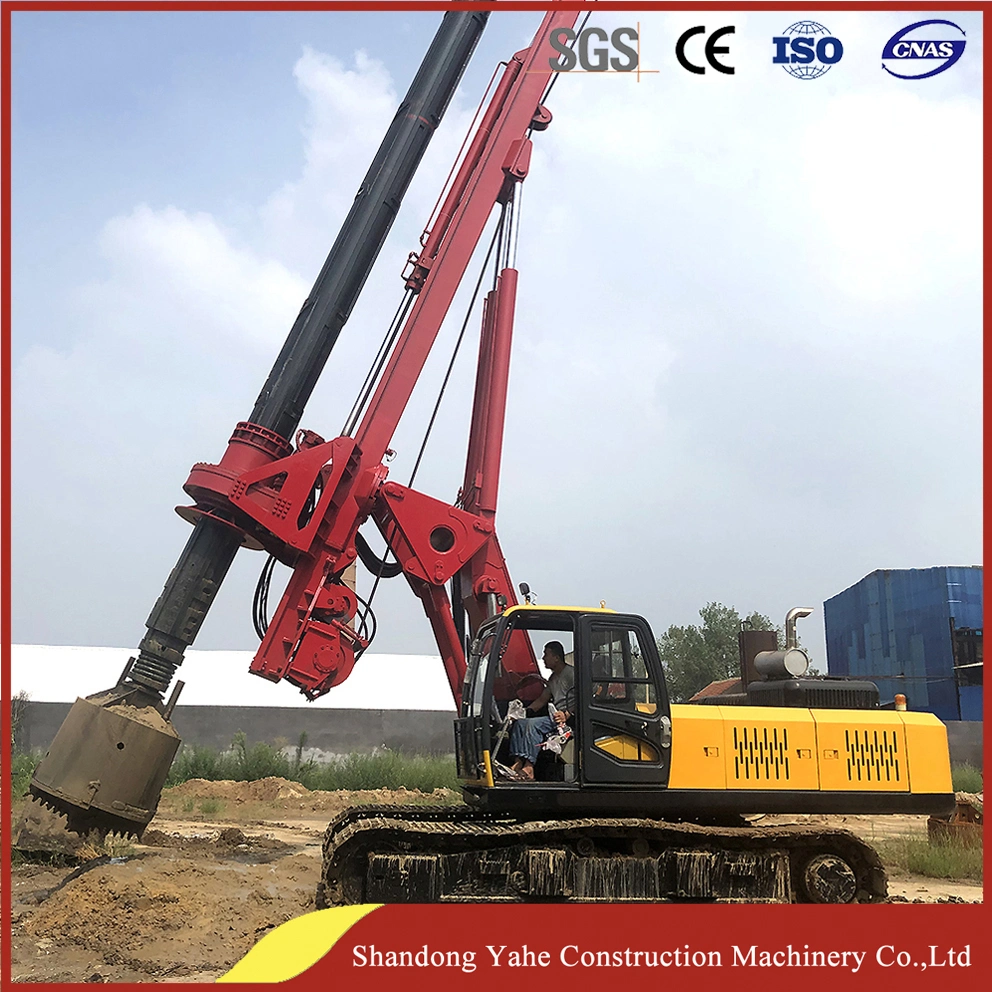 Dingli Produce Dr-220 Rotary Drilling Rig Machine for Sale Good Price