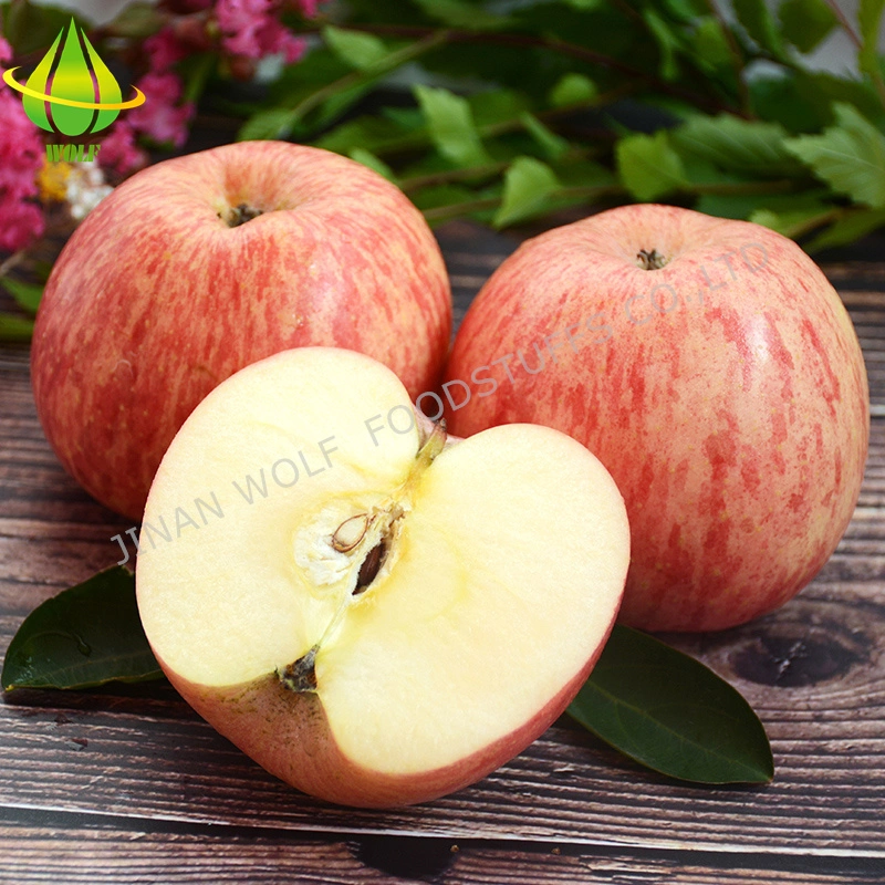 Red Fresh FUJI Apple/Qinguan Apple/Huaniu Apple/Gala Apple/Green Apple/Red Star Apple