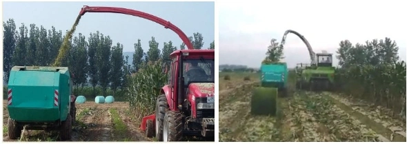 Hay and Straw Baling Machine Grass Baler Round Hay Baler