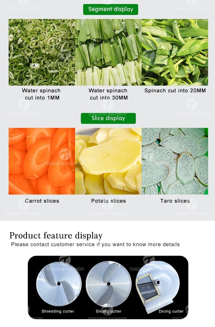 Root Vegetable Cutter Frequency Conversion Leafy Vegetable and Fruit Cutting Machine (TS-Q118)