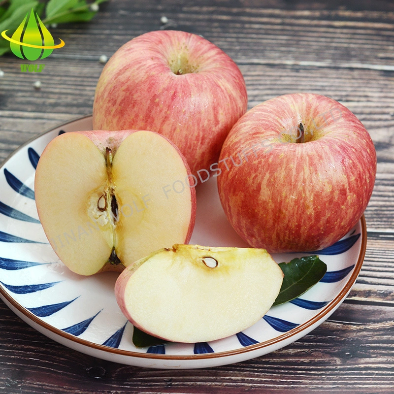 Red Fresh FUJI Apple/Qinguan Apple/Huaniu Apple/Gala Apple/Green Apple/Red Star Apple