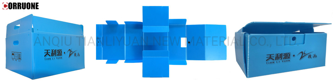 Foldable or Collapsible Coroplast Packing Box as Turnove Box