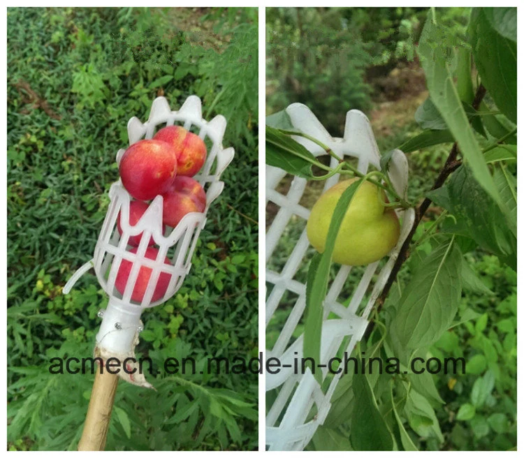 Cheap Price Metal Fruit Picker Fruit Picker Gardening Apple Peach Picking Tools