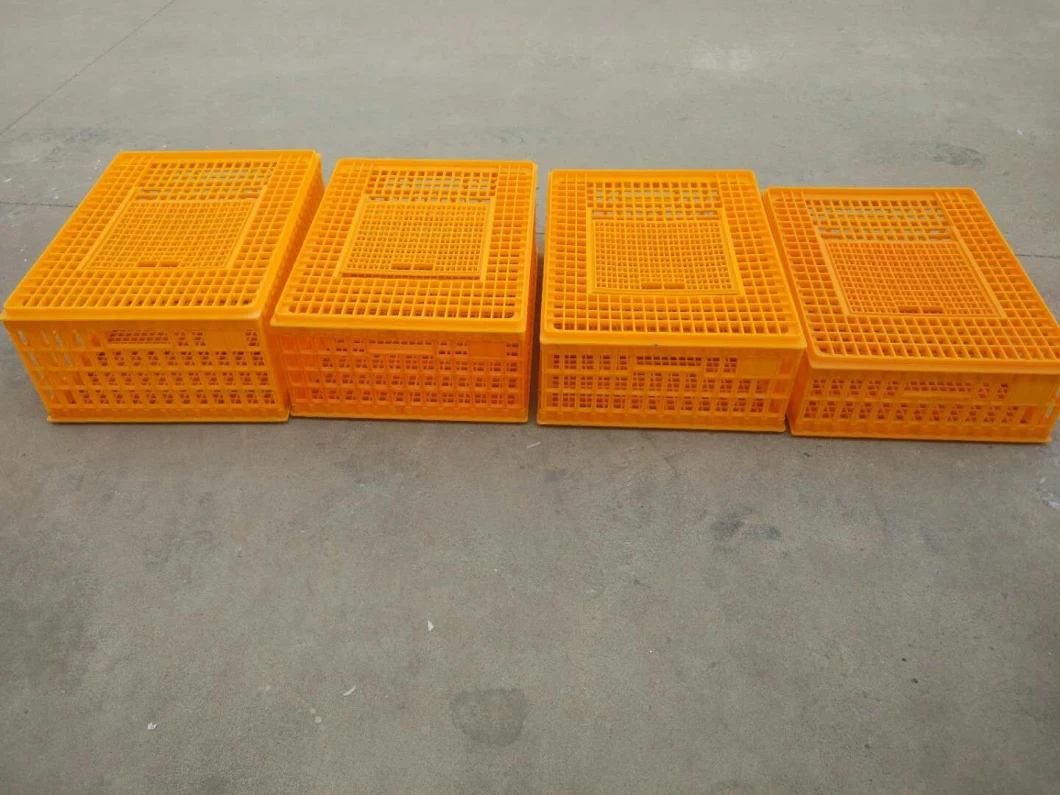 4 Grills Baby Chick Transport Cage Transport Box Big Plastic Live Chicken Transport Crate