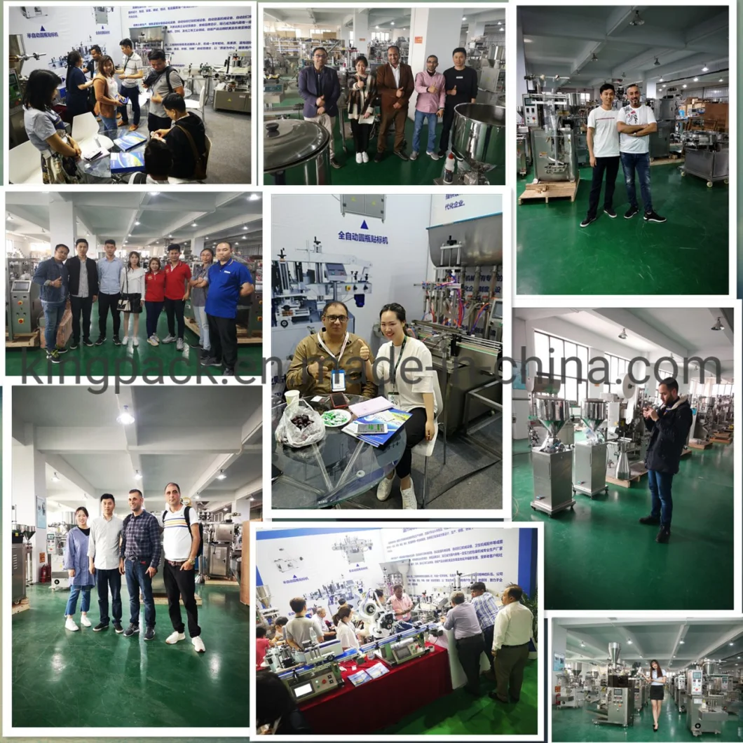 Ten Heads Weigher Automatic Snacks Packing Machine Tea Packing Rice Packing Granule Packing Filling Machine