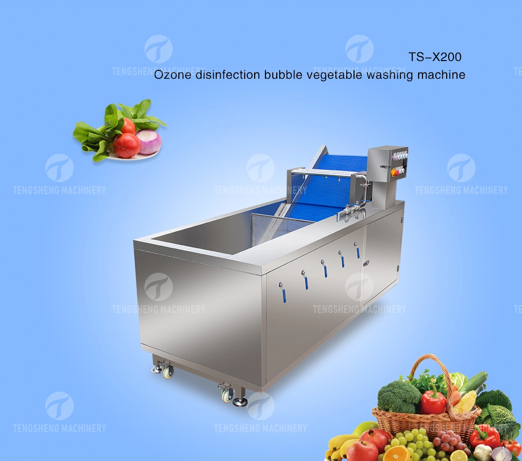 Multifunctional Large Fruit and Vegetable Bubble Cleaning Machine Fruit Processing Production Line (TS-X200)