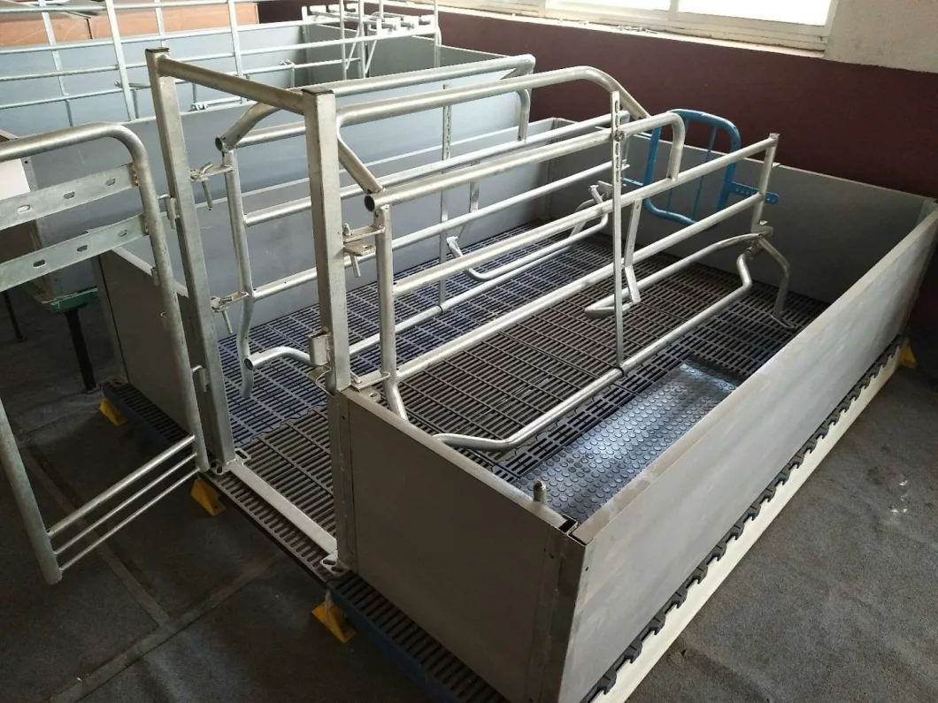 Factory Direct Sale Cheap Farrowing Crates for Pigs