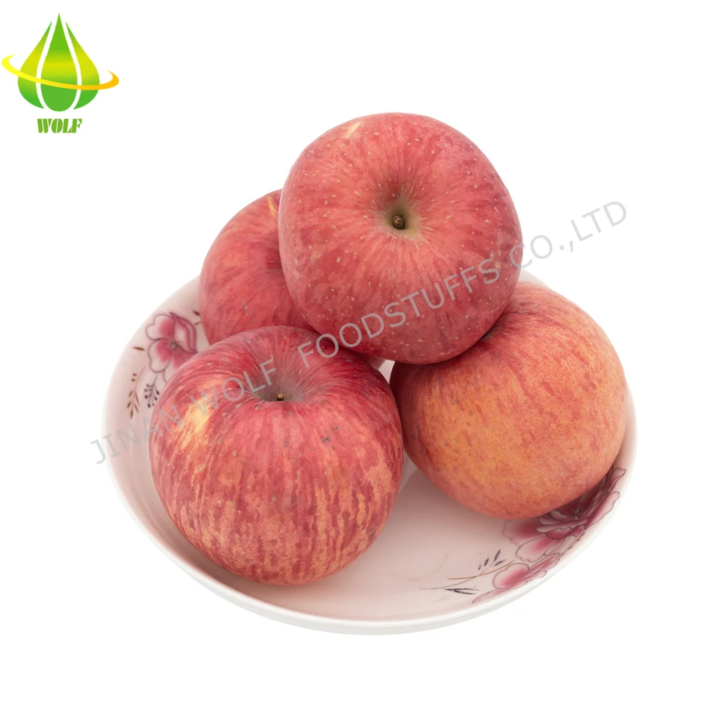 Red Fresh FUJI Apple/Qinguan Apple/Huaniu Apple/Gala Apple/Green Apple/Red Star Apple