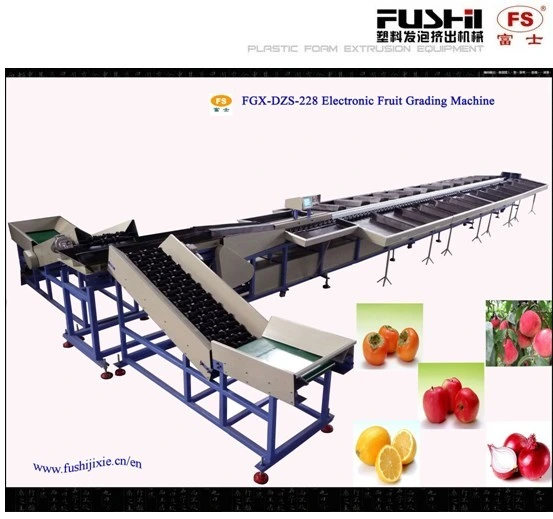 Apple Fruit Sorting Machine Apple Sorter Machine