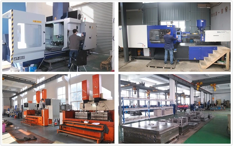 High Experience Mold Maker for Plastic Vegetable and Fruit Plastic Crate Mould