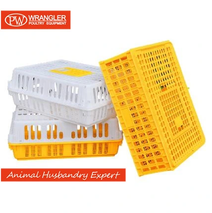 Strong Plastic Quail/Pigeon/Bird Chicken Farm Equipment Poultry Crates