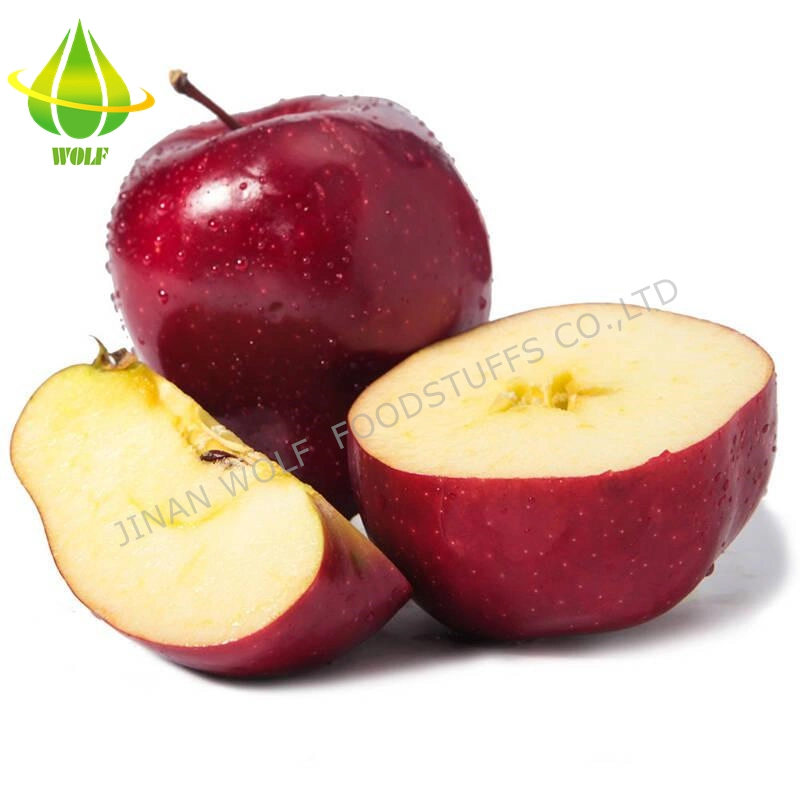 Red Fresh Huaniu Apple/FUJI Apple/Qinguan Apple/Gala Apple/Green Apple/Red Star Apple