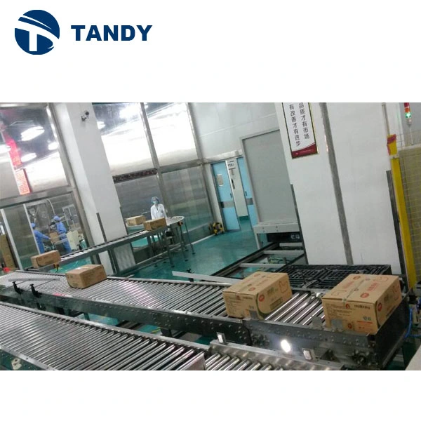 Carton Pallet Roller Conveyer for Medical Supply Face Mask Conveying