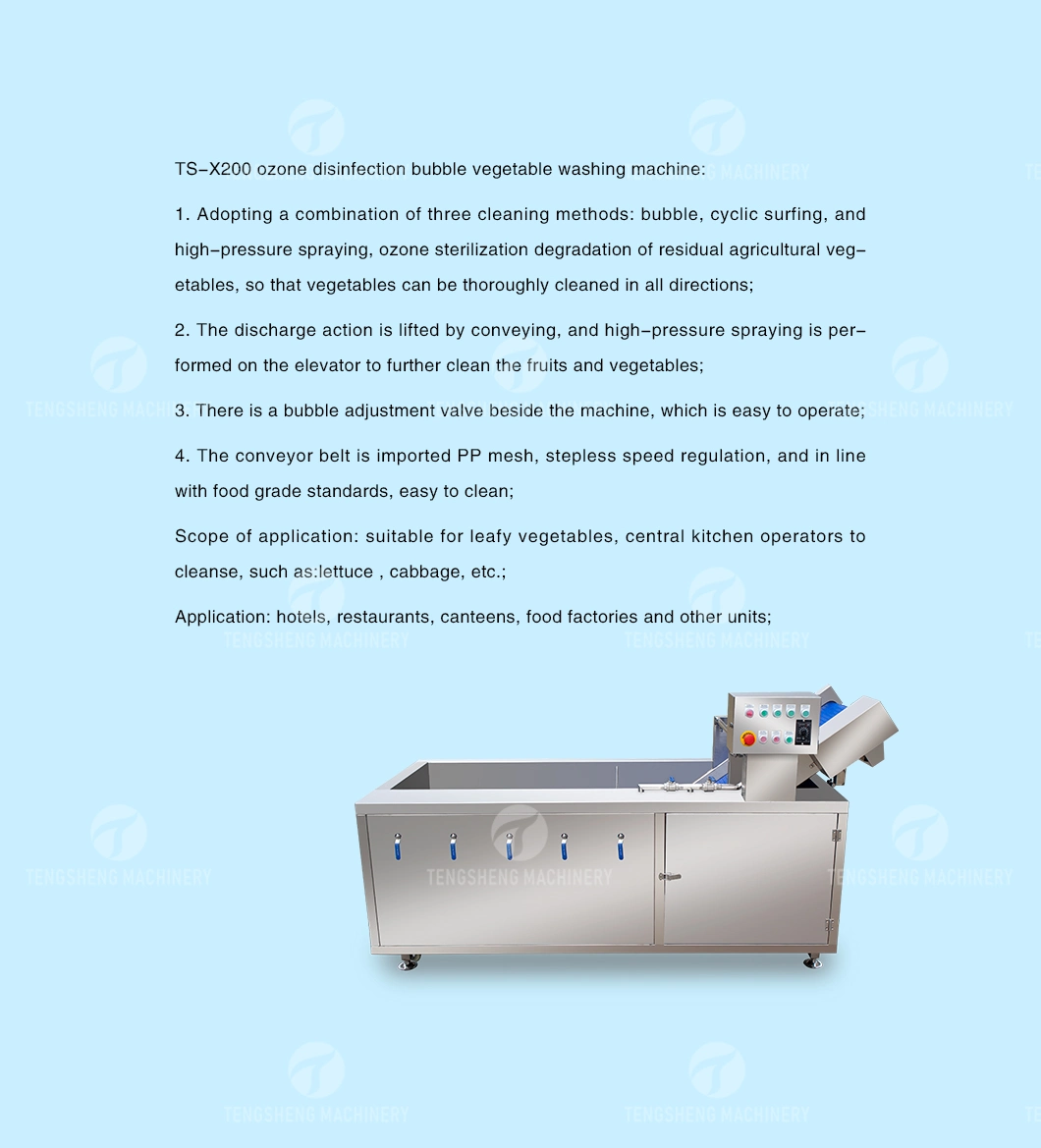 Large Commercial Vegetable and Fruit Cleaning Machine Suitable for Fruit Processing Plants (TS-X200)