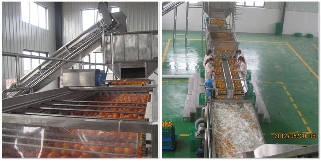 Citrus Juice and Citrus Oil Concentrate Production Plant Orange Processing Plant