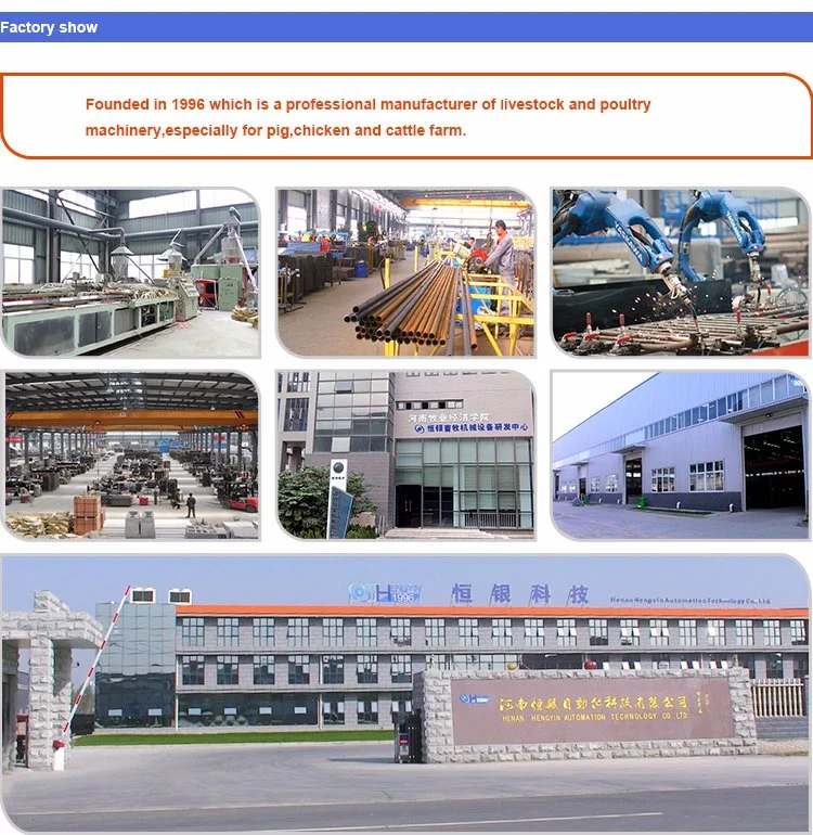 Ce Approved Top Quality Hot-DIP Galvanized Pig Sow Farrowing Crates