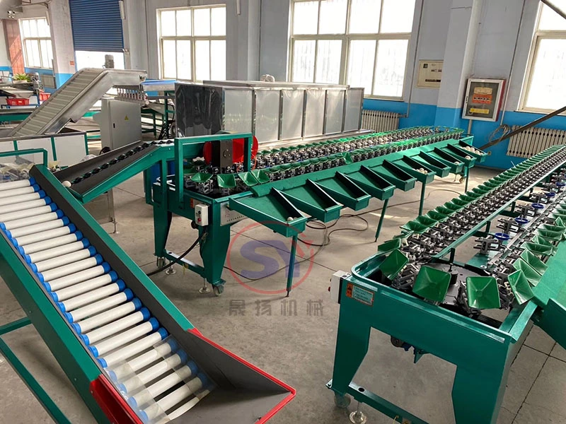 Fruit Apple Pear Orange Passion Fruit Electric Weight Grading Sorting Machine