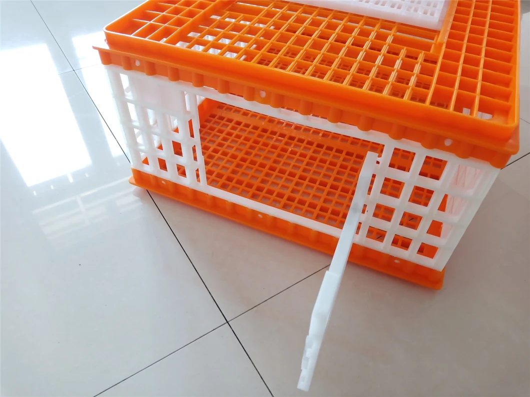 4 Grills Baby Chick Transport Cage Transport Box Big Plastic Live Chicken Transport Crate