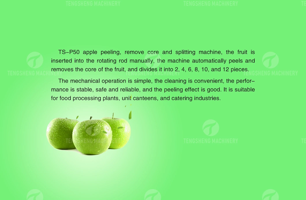 Apple Skin Peeling Coring and Slicing Machine Industrial Apple Ring Fruit Peeling Pitting Machine (TS-P50)