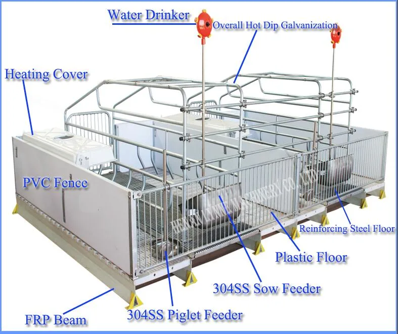 Auto Pig Sow Dry Wet Hopper Feeder Drinker Through Farrowing Crates