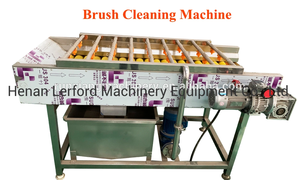 Fruit and Vegetable Vegetable Washing and Drying Processing Machine