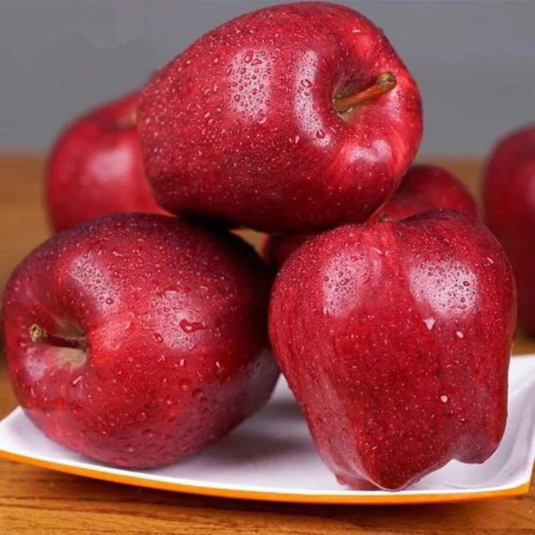 Fresh Fruit Healthy Huaniu Apple Red Delicious Apple