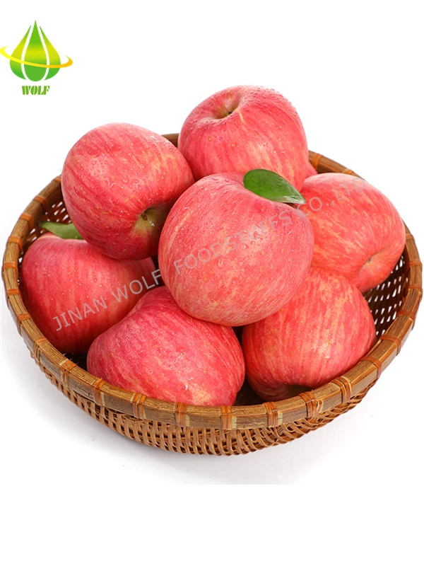 Red Fresh FUJI Apple/Qinguan Apple/Huaniu Apple/Gala Apple/Green Apple/Red Star Apple