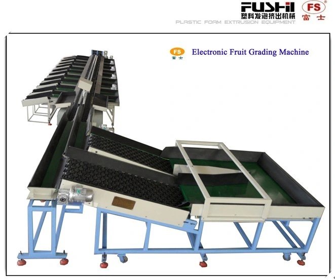 Apple Fruit Sorting Machine Apple Sorter Machine