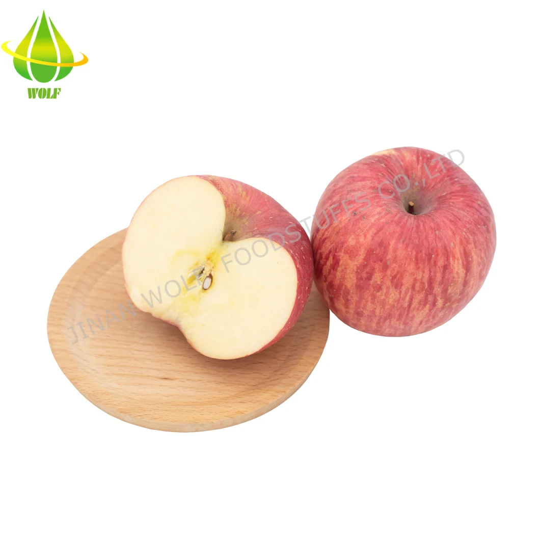 Red Fresh FUJI Apple/Qinguan Apple/Huaniu Apple/Gala Apple/Green Apple/Red Star Apple