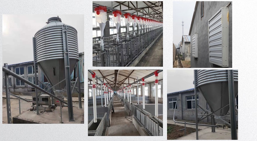 Swine Farm Pig Cage Farming Equipment Breeding Stalls of Galvanized Sow Farrowing Stall Farrowing Crates