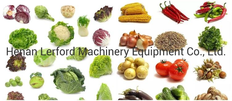 Automatic Vegetable Fruit Processing Line Fruit Vegetable Blanching Machine