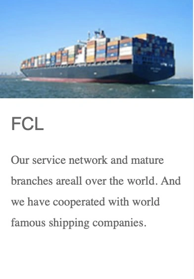 Agent From China Europe Train to Europe FCL LCL Pallet Box DDU DDP Tax Inclusive